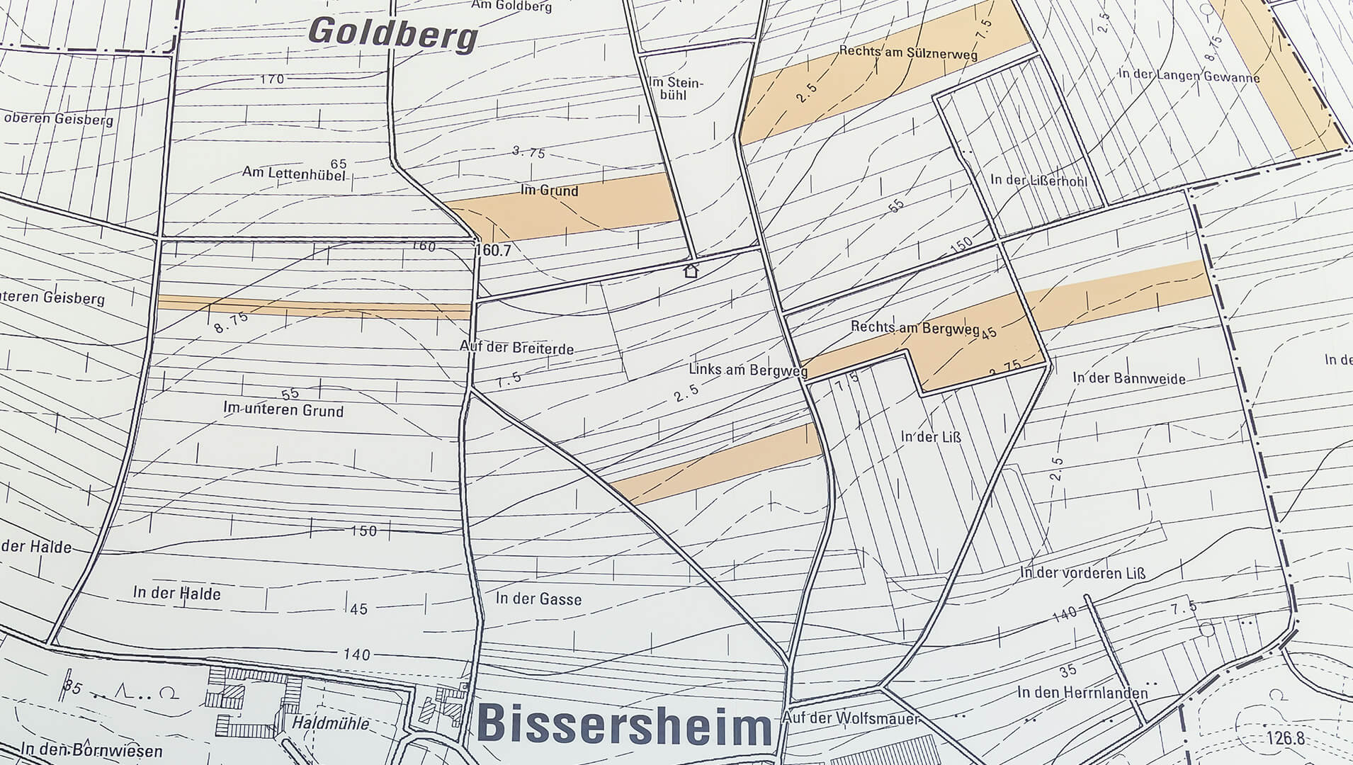 Ortskarte Goldberg, Orlenberg